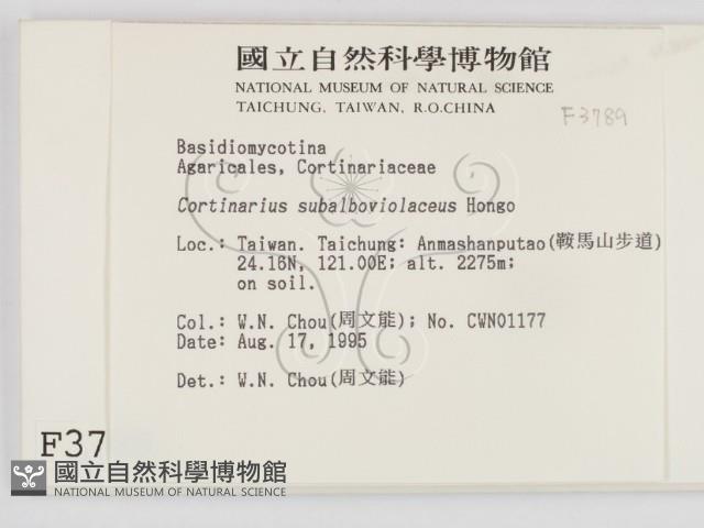 登錄號:F0003789藏品圖，第2張