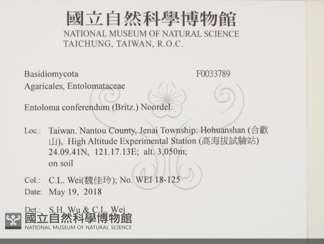 登錄號:F0033789藏品圖，第2張