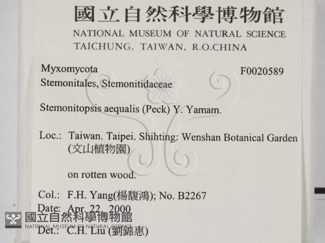 登錄號:F0020589藏品圖，第2張