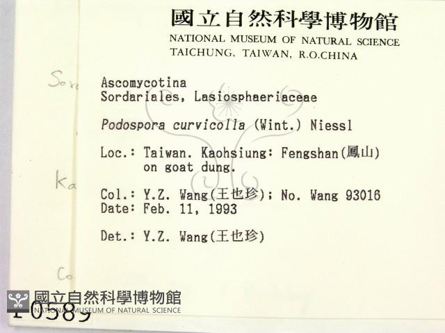 登錄號:F0000589藏品圖，第2張