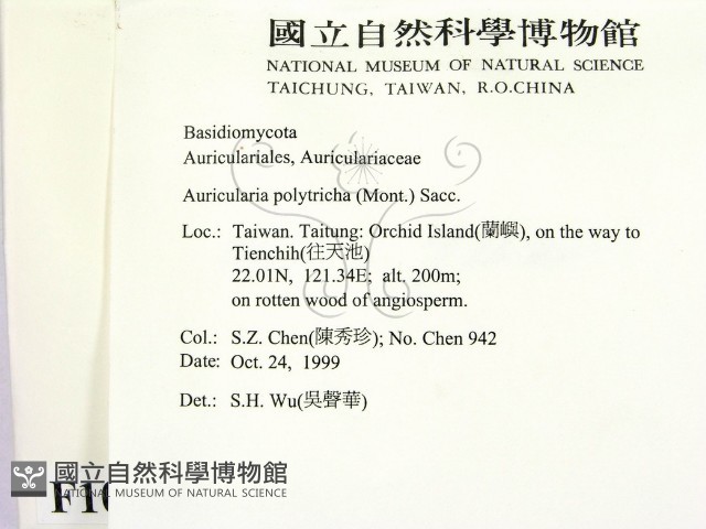 毛木耳藏品圖，第2張