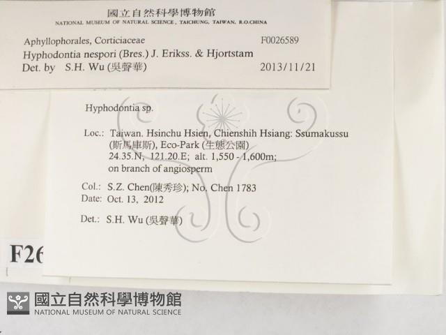 登錄號:F0026589藏品圖，第2張