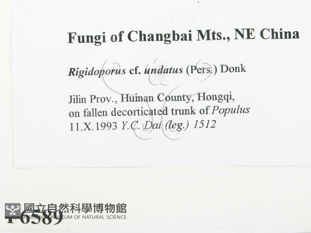 登錄號:F0006589藏品圖，第2張