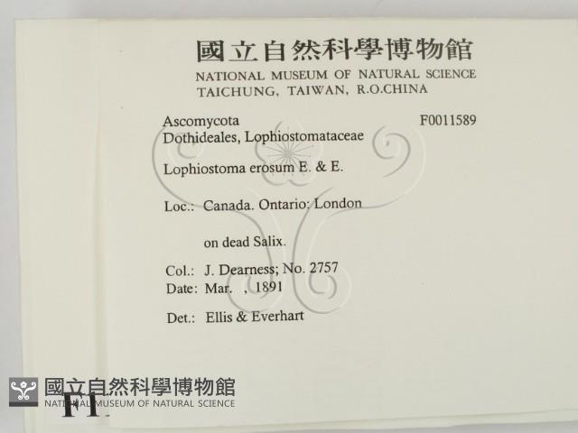 登錄號:F0011589藏品圖，第2張