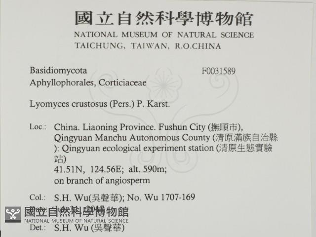 登錄號:F0031589藏品圖，第2張