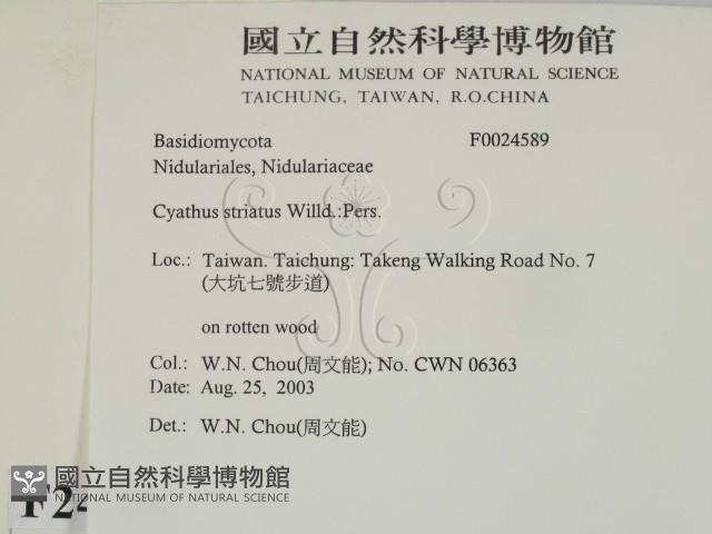 登錄號:F0024589藏品圖，第2張