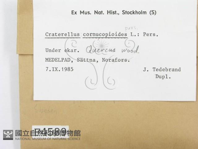 登錄號:F0004589藏品圖，第2張