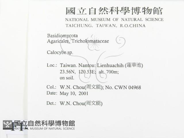 登錄號:F0014589藏品圖，第2張