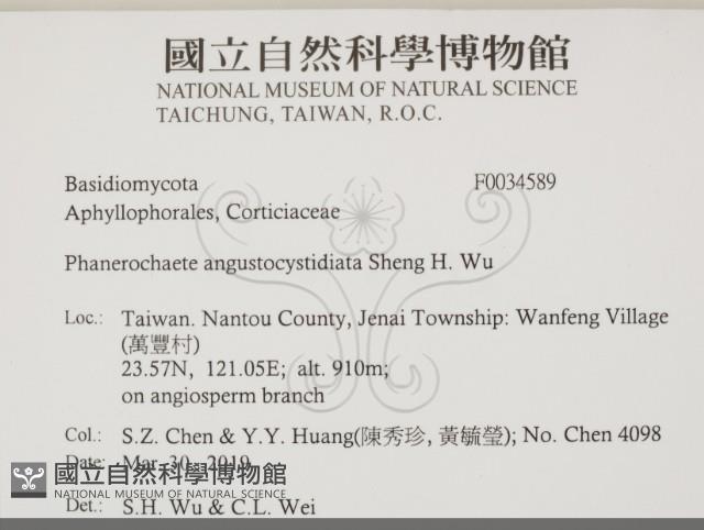 登錄號:F0034589藏品圖，第2張