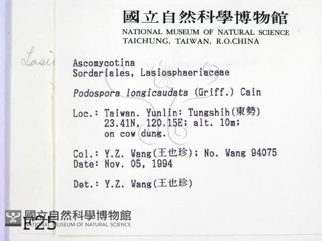 登錄號:F0002589藏品圖，第2張