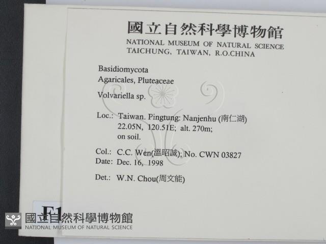 登錄號:F0012589藏品圖，第2張
