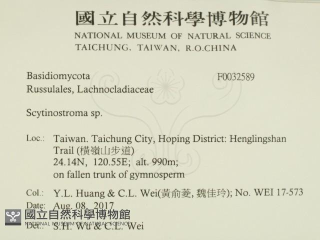 登錄號:F0032589藏品圖，第2張
