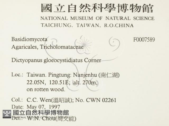 登錄號:F0007589藏品圖，第2張