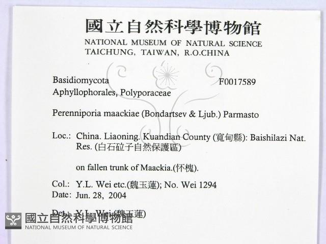 登錄號:F0017589藏品圖，第2張