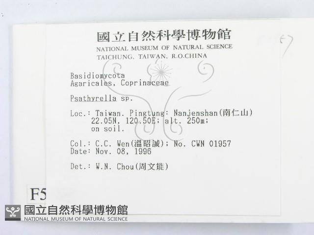 登錄號:F0005589藏品圖，第2張