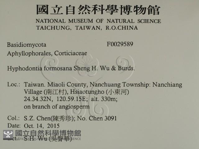 登錄號:F0029589藏品圖，第2張