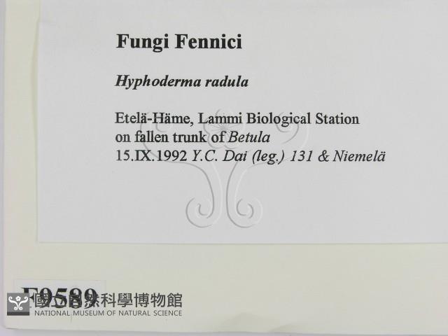 登錄號:F0009589藏品圖，第2張