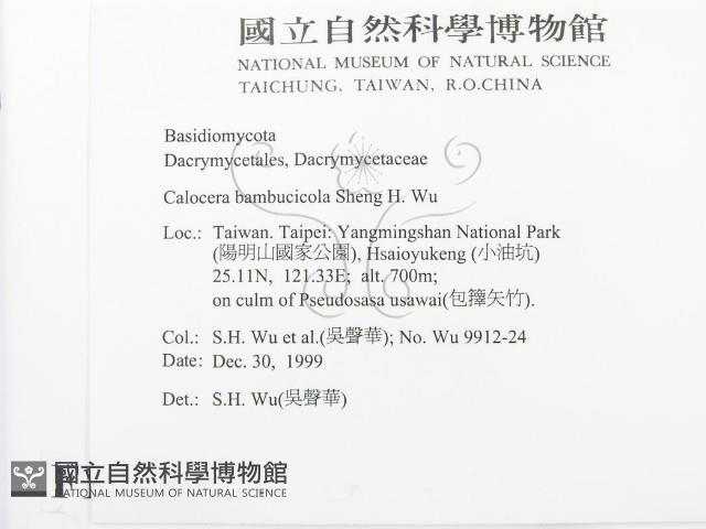 登錄號:F0010189藏品圖，第2張