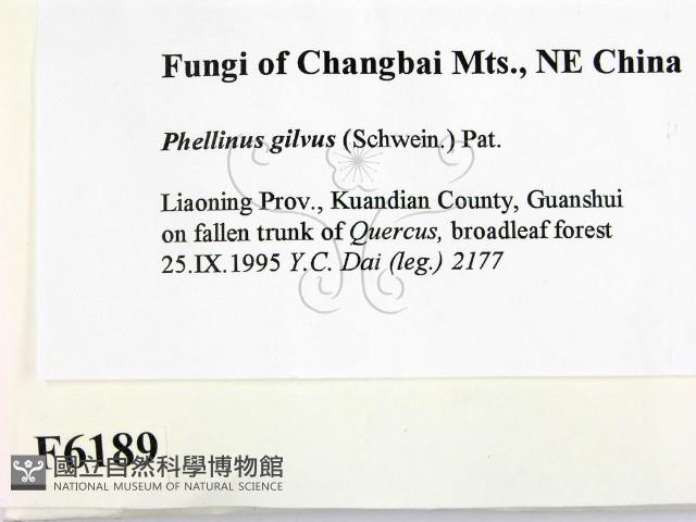 登錄號:F0006189藏品圖，第2張