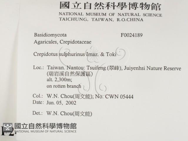 登錄號:F0024189藏品圖，第2張