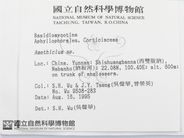 登錄號:F0004189藏品圖，第2張