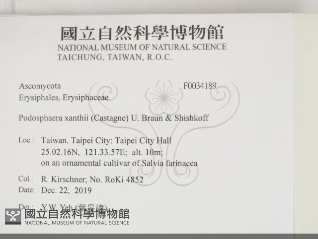 登錄號:F0034189藏品圖，第2張