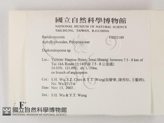 登錄號:F0022189藏品圖，第2張