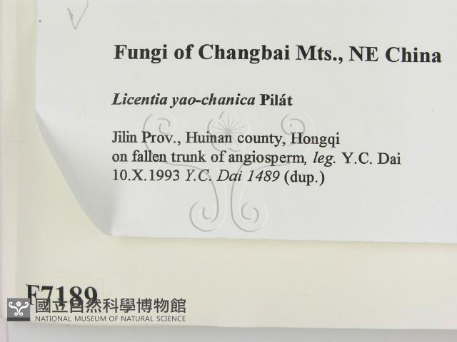 登錄號:F0007189藏品圖，第2張