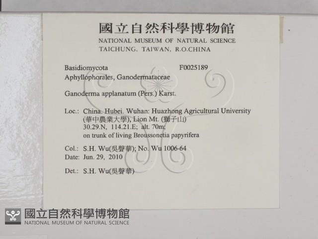 登錄號:F0025189藏品圖，第2張