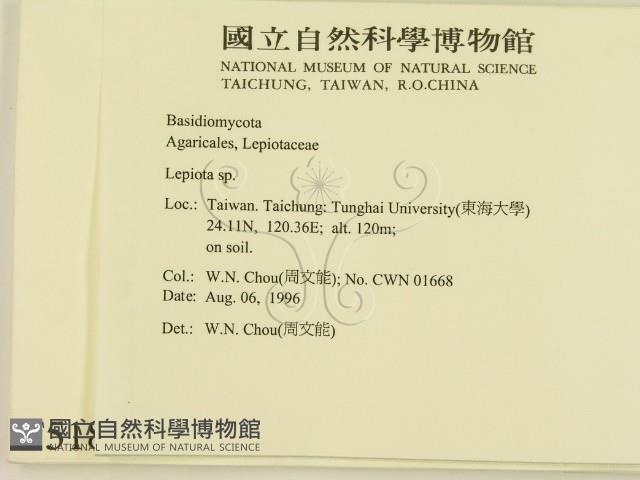 登錄號:F0005189藏品圖，第2張