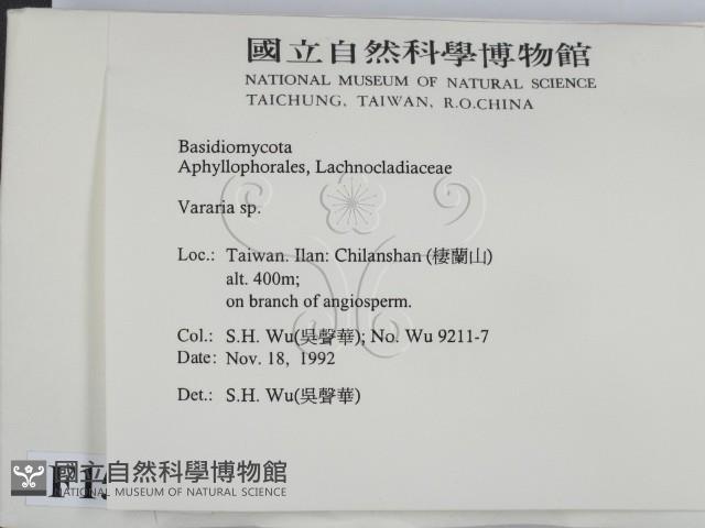 登錄號:F0015189藏品圖，第2張