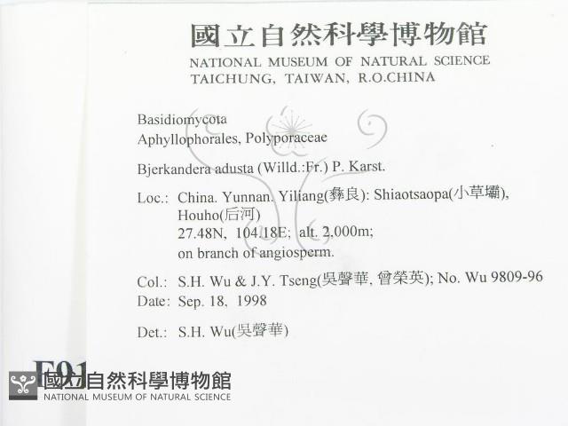 煙管菌藏品圖，第2張