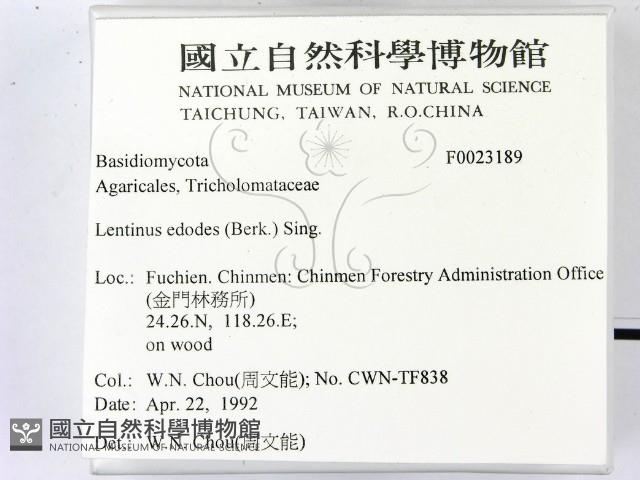 登錄號:F0023189藏品圖，第2張