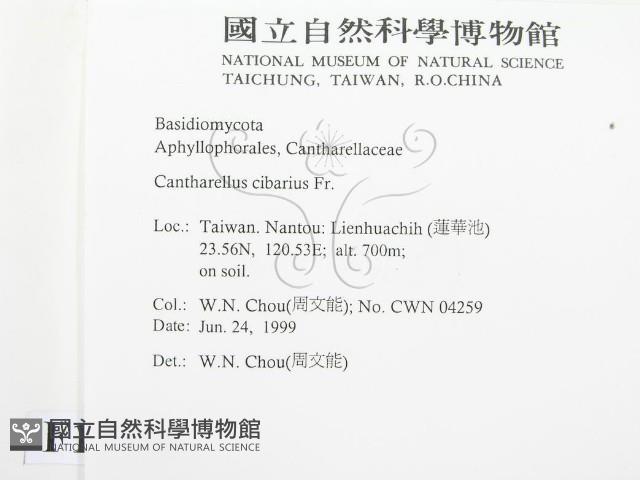 登錄號:F0013189藏品圖，第2張