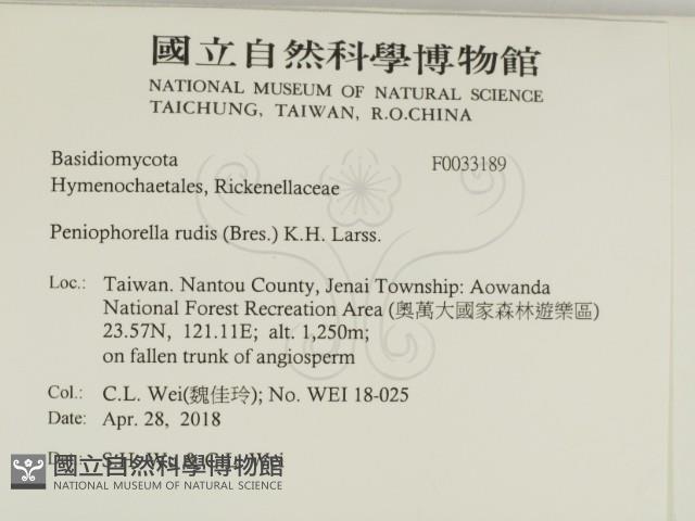 登錄號:F0033189藏品圖，第2張