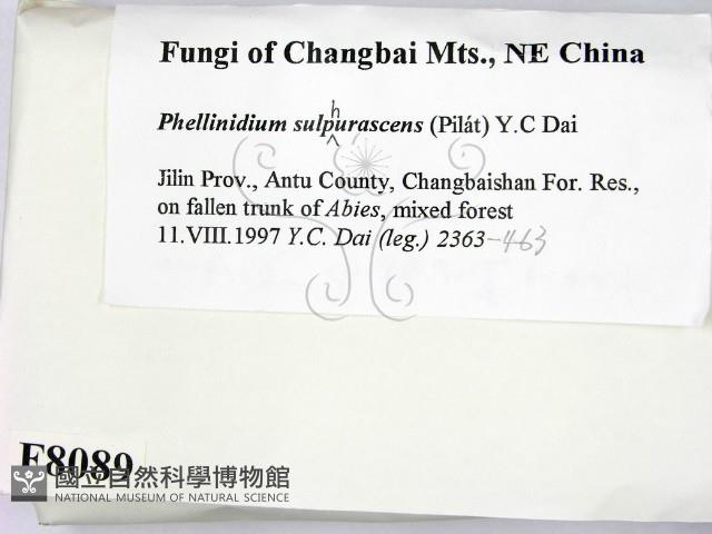 登錄號:F0008089藏品圖，第2張