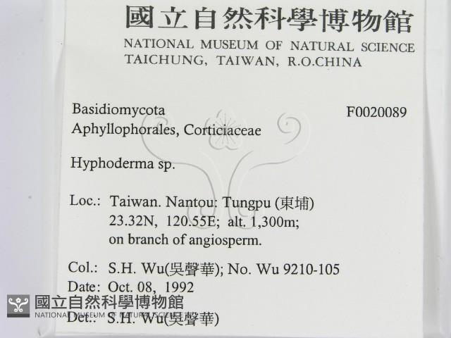 絲皮菌屬藏品圖，第2張