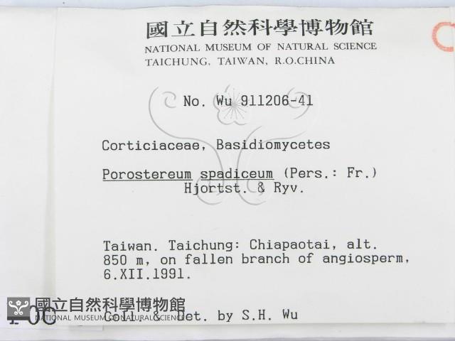 登錄號:F0000089藏品圖，第2張