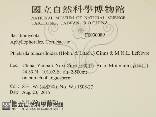 登錄號:F0030089藏品圖，第2張