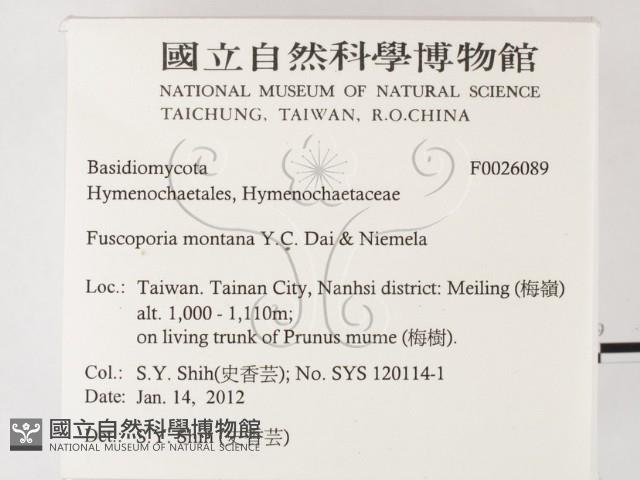 登錄號:F0026089藏品圖，第2張