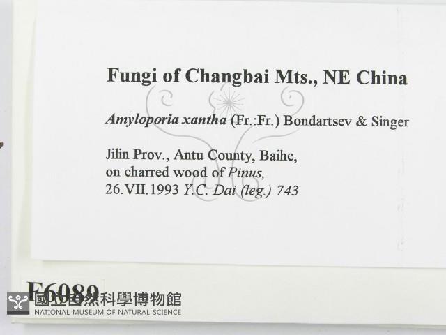 登錄號:F0006089藏品圖，第2張