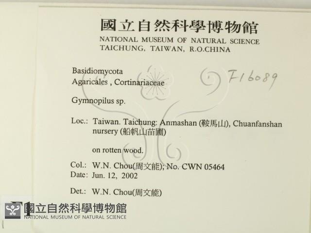 登錄號:F0016089藏品圖，第2張