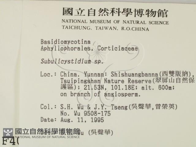 登錄號:F0004089藏品圖，第2張