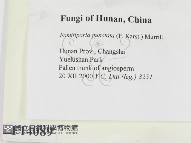 登錄號:F0014089藏品圖，第2張