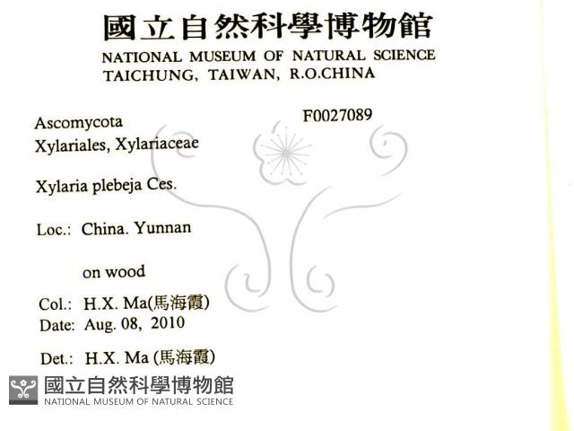 登錄號:F0027089藏品圖，第2張