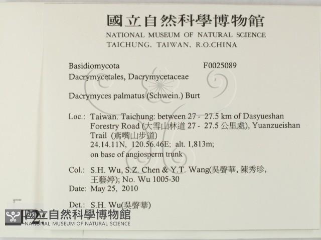登錄號:F0025089藏品圖，第2張