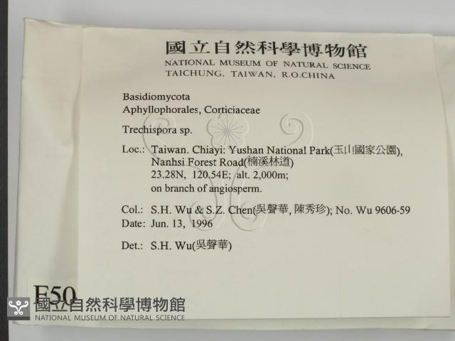 粗糙孢菌屬藏品圖，第2張