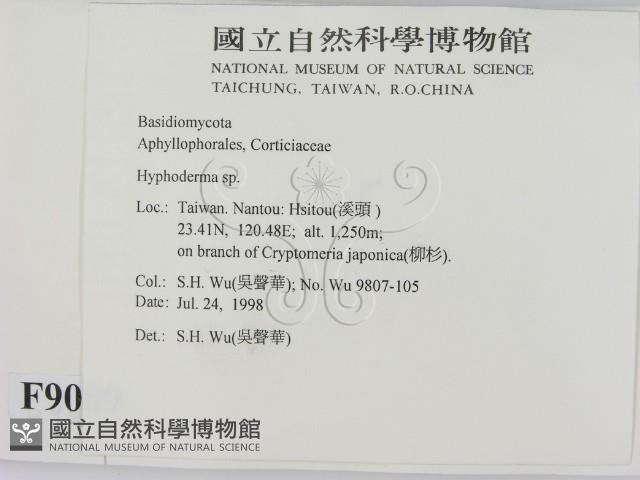 絲皮菌屬藏品圖，第2張