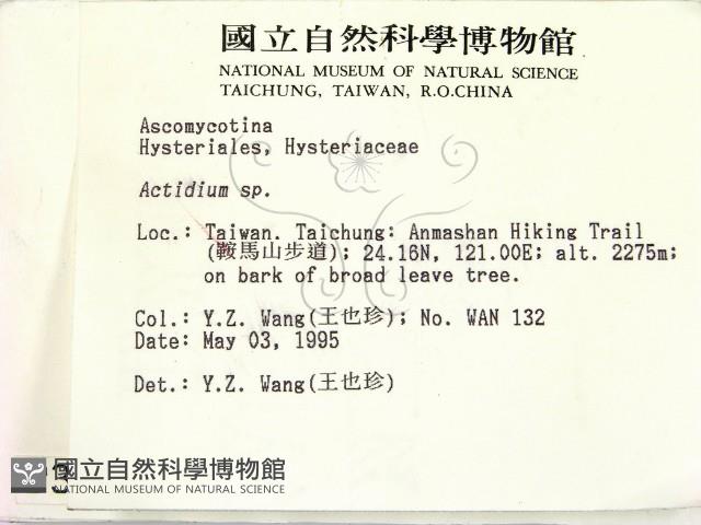 登錄號:F0003089藏品圖，第2張
