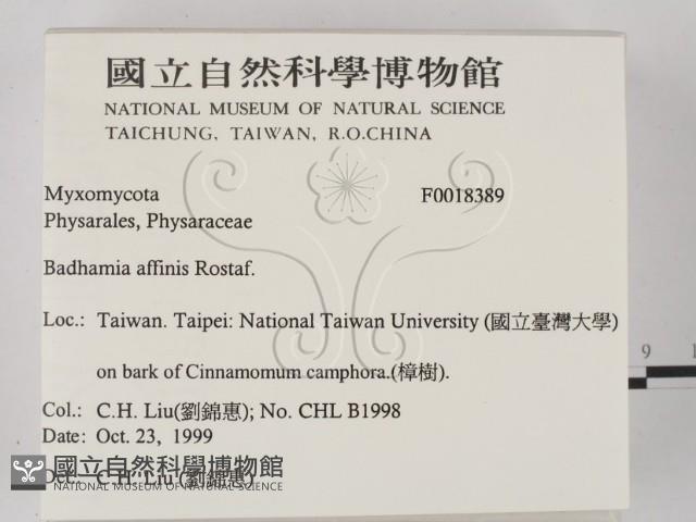 登錄號:F0018389藏品圖，第2張